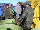 Prohlédnout vylov_2013_10_t1.jpg