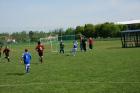 Prohlédnout sp_2014_13_39_t1.jpg