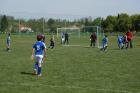 Prohlédnout sp_2014_13_79_t1.jpg