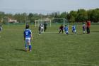 Prohlédnout sp_2014_13_80_t1.jpg