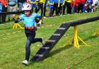 sdh2014_2a_17_t1.jpg