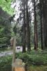Prohlédnout povodne_2014_70_t1.jpg