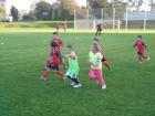 Prohlédnout pp_20141009_09_t1.jpg