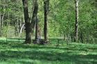 Prohlédnout 20150507_7_t1.jpg