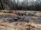 Prohlédnout pozar_20160405_000001_t1.jpg