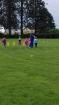 Prohlédnout nabor_20170524_05_t1.jpg