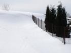 Prohlédnout rych01_03_t1.jpg